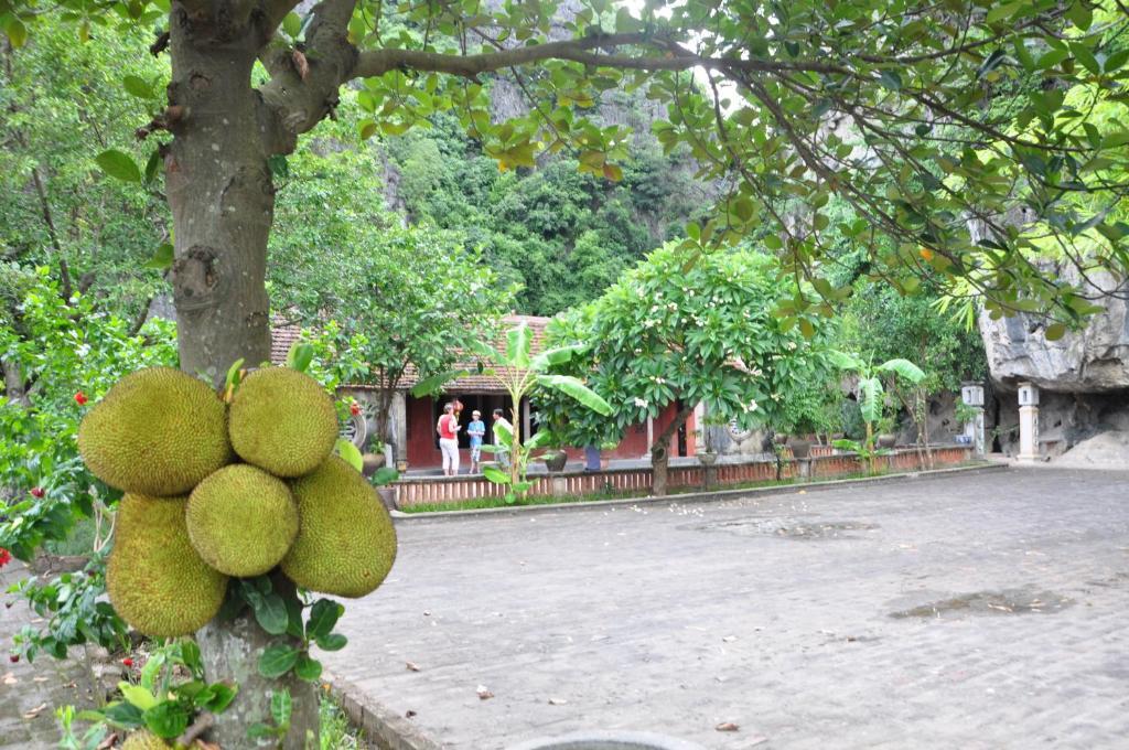 Lang Viet Co Hotel Ninh Binh Luaran gambar